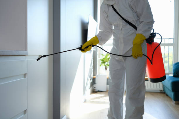 Best Residential Mold Remediation in Umatilla, FL
